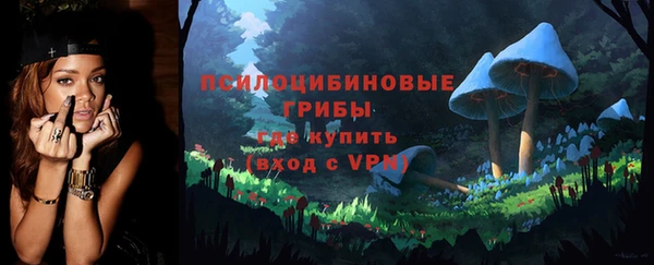 марки lsd Богородицк