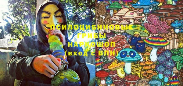 марки lsd Богородицк