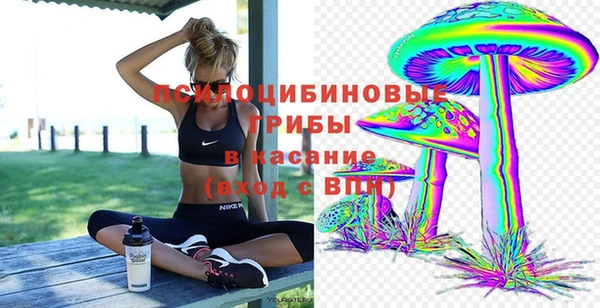 а пвп мука Богданович