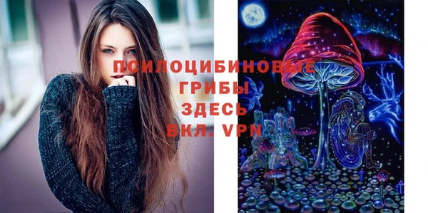 ГАЛЛЮЦИНОГЕННЫЕ ГРИБЫ Богородск