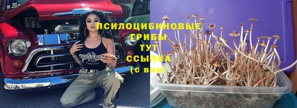 марки lsd Богородицк
