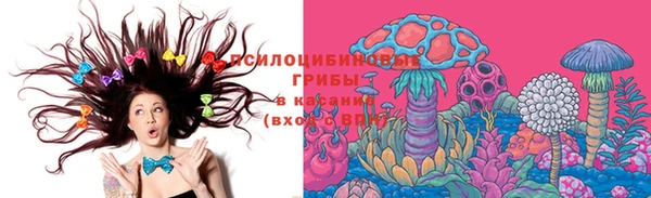 марки lsd Богородицк
